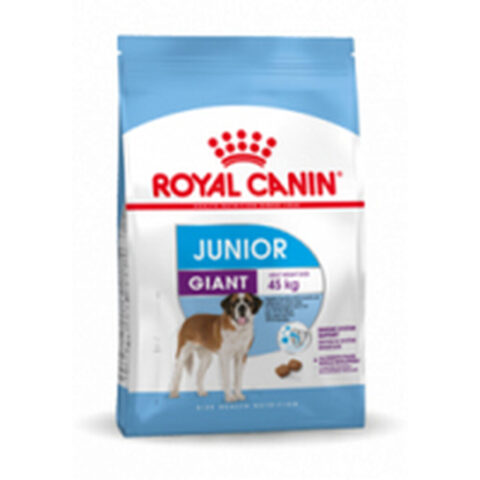 Φαγητό για ζώα Royal Canin Giant Junior 15 kg