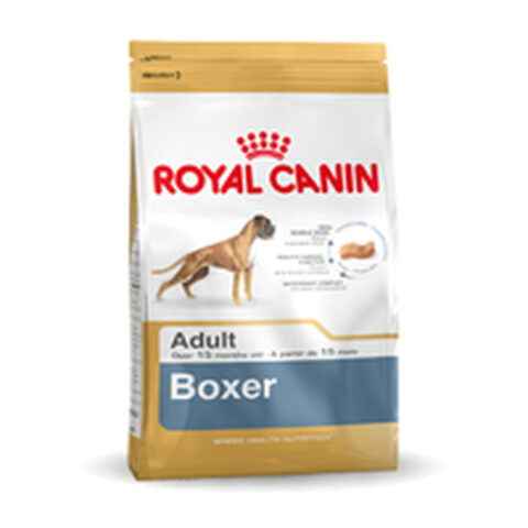 Φαγητό για ζώα Royal Canin Boxer Adult 12 kg