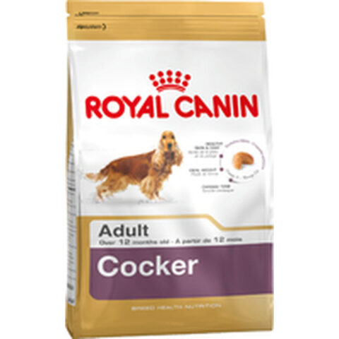 Φαγητό για ζώα Royal Canin Cocker Adult 12 kg