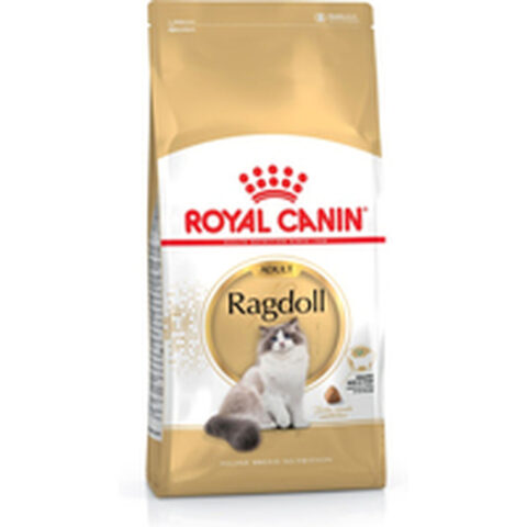 Γατοτροφή Royal Canin Ragdoll Adult