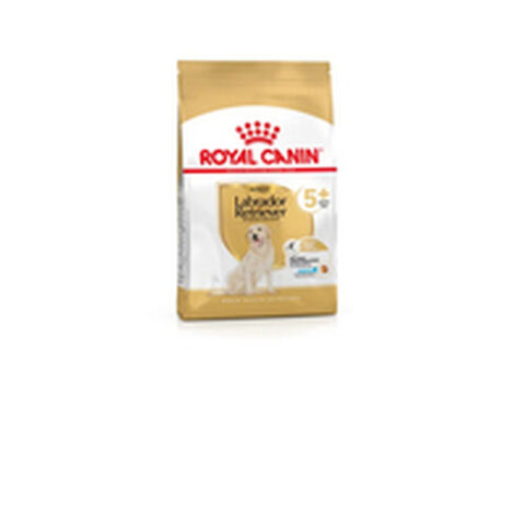 Φαγητό για ζώα Royal Canin 3182550908412 12 kg