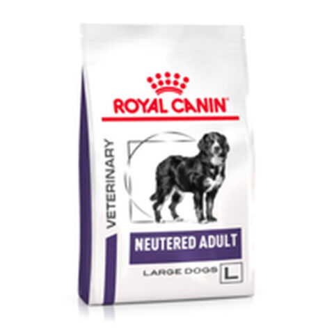 Φαγητό για ζώα Royal Canin Neutered Adult Large Dog 13 kg