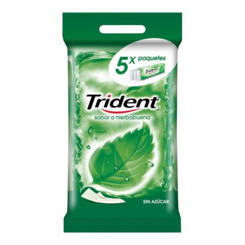 Chicle Trident Χλωροφύλλη (5 packs)