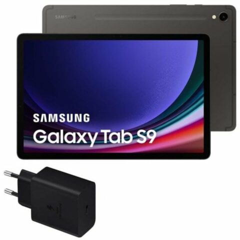 Tablet Samsung Galaxy Tab S9 11" 256 GB Γκρι
