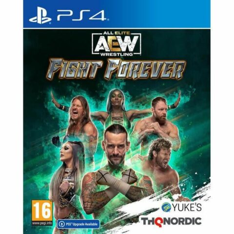 Βιντεοπαιχνίδι PlayStation 4 THQ Nordic AEW All Elite Wrestling Fight Forever