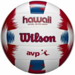 Mπάλα Βόλεϊ Frisbee Hawaii Wilson WTH80219KIT Λευκό Πολύχρωμο Φυσικό καουτσούκ (Ένα μέγεθος)