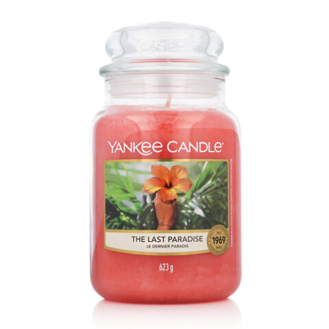 Αρωματικό Κερί Yankee Candle Ιβίσκος (623 g)