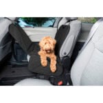 Προστατευτικό Κάλυμμα για Μονό Κάθισμα Αυτοκινήτου για Κατοικίδια Dog Gone Smart 112 x 89 cm Μαύρο Πλαστική ύλη
