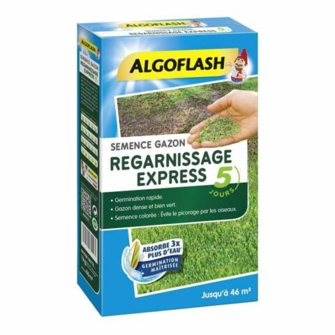Σπόροι Algoflash