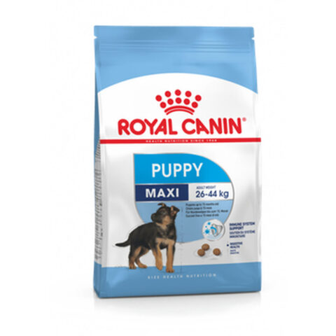 Φαγητό για ζώα Royal Canin Maxi Puppy 15 kg Κουτάβι / Junior