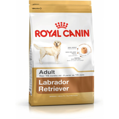 Φαγητό για ζώα Royal Canin Labrador Retriever Adult 12 kg Ενήλικες Ενηλίκων