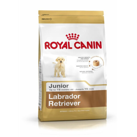 Φαγητό για ζώα Royal Canin Labrador Retriever Junior 12 kg Κουτάβι / Junior