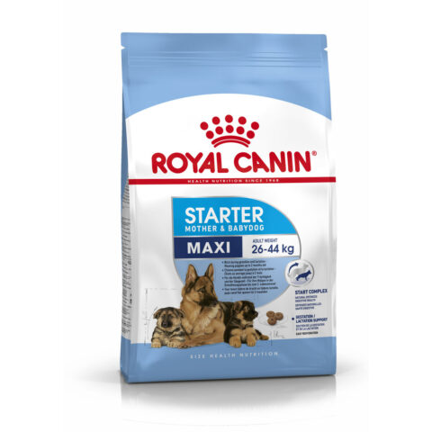Φαγητό για ζώα Royal Canin Maxi Starter Mother & Babydog Ενηλίκων Πουλιά 15 kg