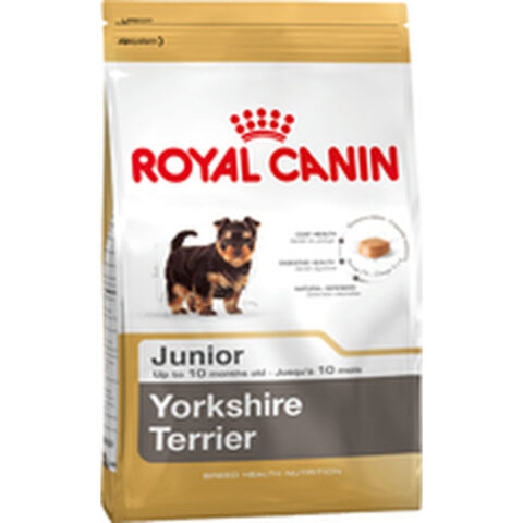 Φαγητό για ζώα Royal Canin Yorkshire Terrier Junior 7
