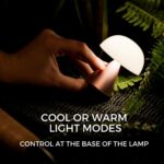 Επιτραπέζιο Φωτιστικό Lexon Mina Επαναφορτιζόμενη μπαταρία LED Ασημί ABS