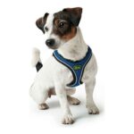 Λουρί Σκύλου Hunter Hilo-Comfort Μπλε Μέγεθος S (42-48 cm)