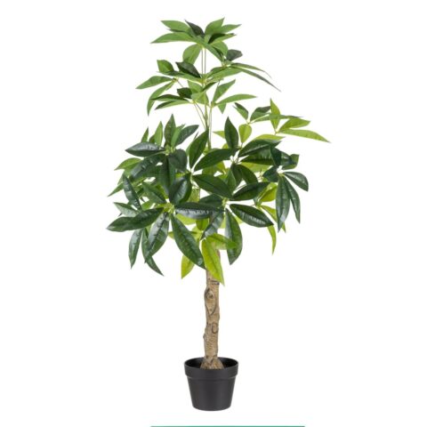 Διακοσμητικό Φυτό 54 x 52 x 120 cm Πράσινο PVC