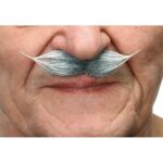 Μουστάκι My Other Me Γκρι