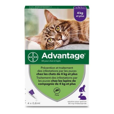 Αντιπαρασιτικά Advantage Γάτα Κουνέλι +4 Kg 4 Μονάδες 0