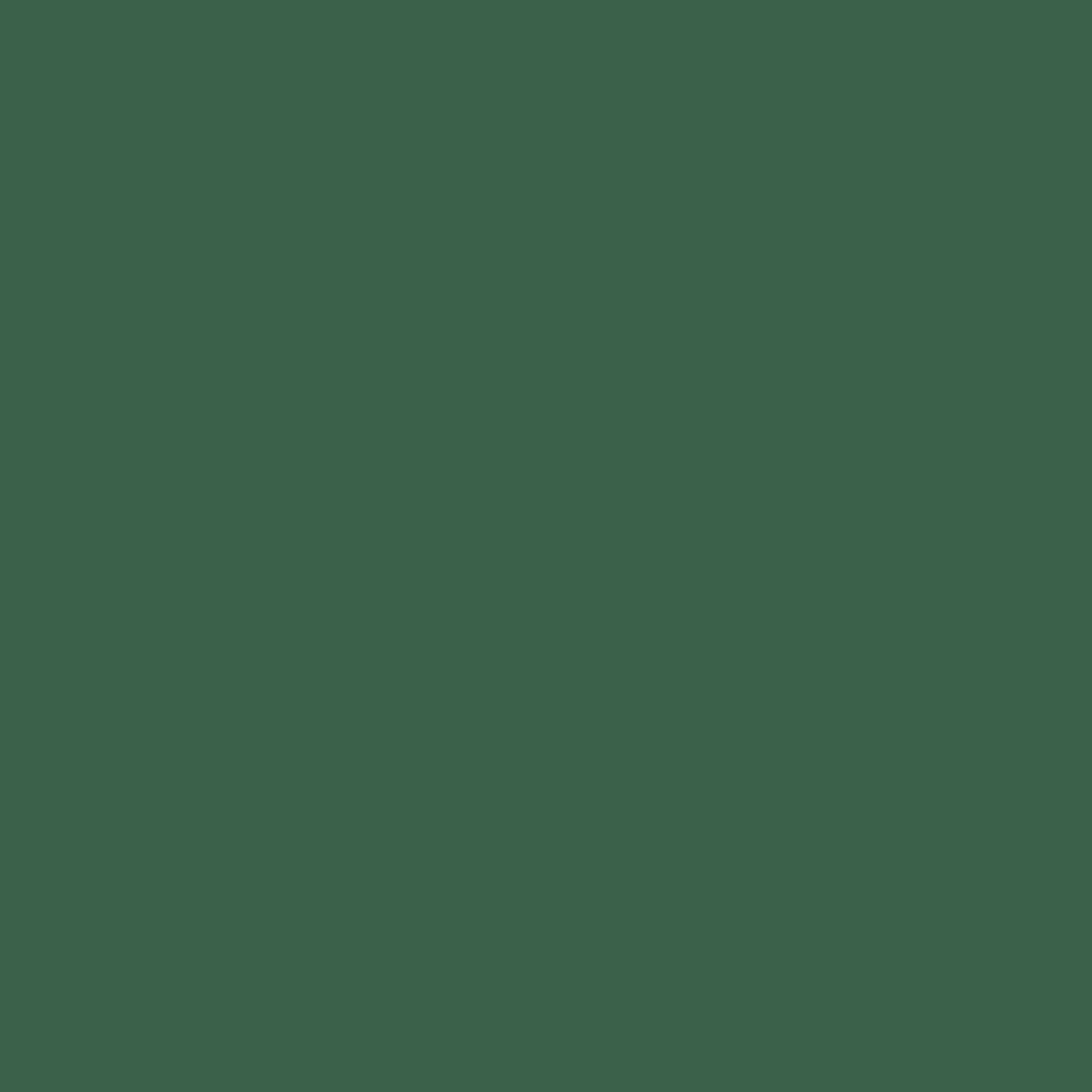 Υγρό υπερσυμπυκνωμένο χρωστικό Bruguer Emultin 5056651 50 ml Σμαραγδένιο Πράσινο
