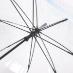 Ομπρέλα Disney 100 Years Διαφανές 89 cm Μαύρο PoE