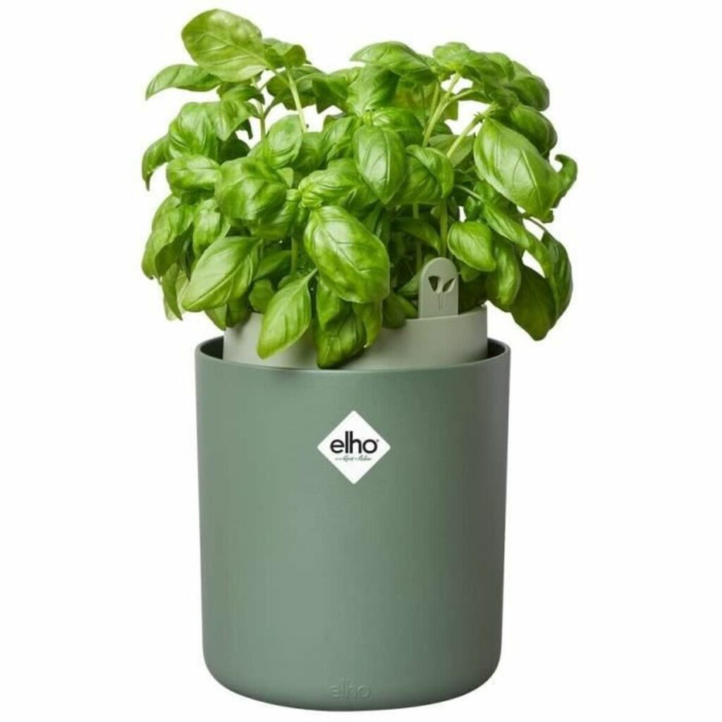 Βάζο Λουλουδιών Elho Bouncy Basil  Στρογγυλή Πράσινο Πλαστική ύλη Ø 16 cm