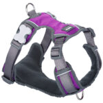 Λουρί Σκύλου Red Dingo Dingo 38-58 cm 46-63 cm Μωβ M
