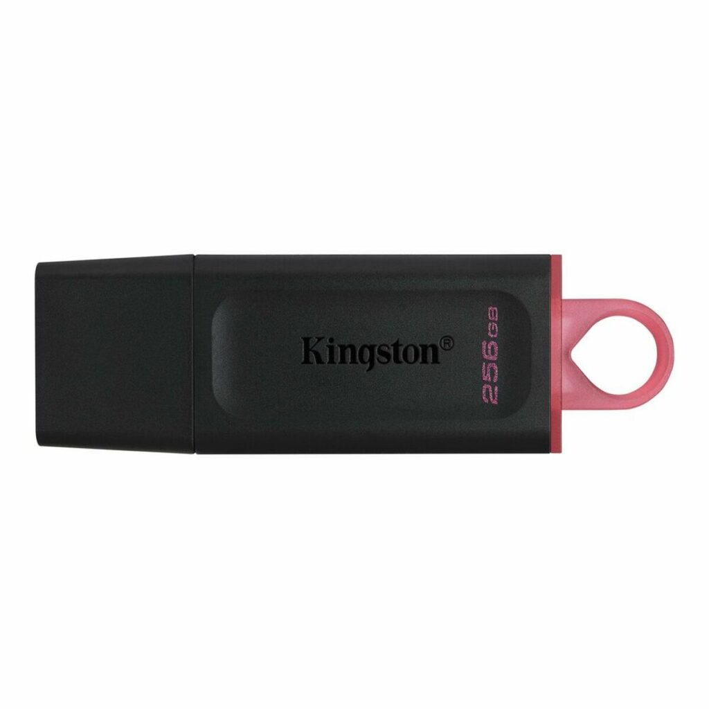 Στικάκι USB Kingston DTX/256GB Μπρελόκ-αλυσίδα Μαύρο 256 GB