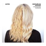 Μαλακτικό Ματ για Ξανθά Μαλλιά Redken Color Extend Blondage (300 ml)