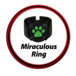 Αποκριάτικη Στολή για Παιδιά Miraculous: Tales of Ladybug & Cat Noir Transformation Set - Cat Noir 4 Τεμάχια Μαύρο Πολύχρωμο