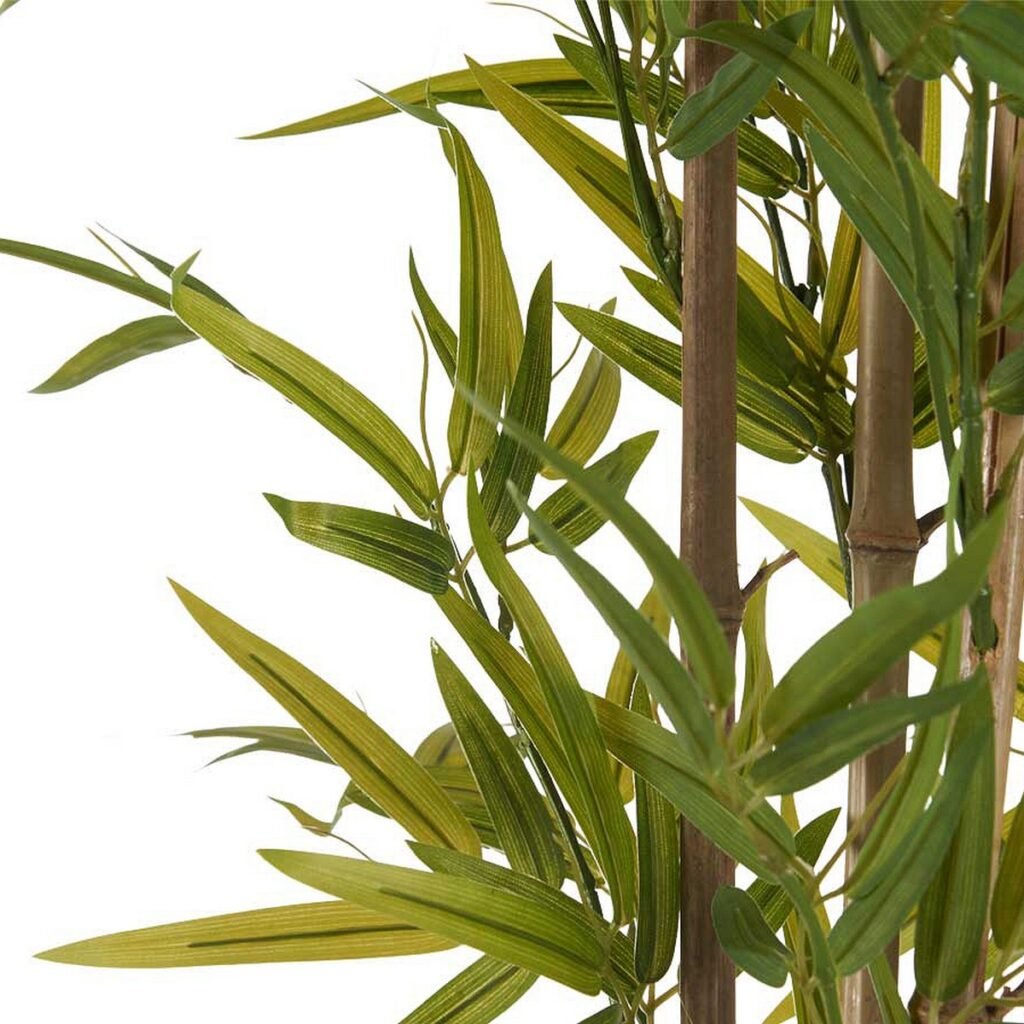 Διακοσμητικό Φυτό Διακοσμητική κανάτα Πλαστική ύλη Σιδερένιο σύρμα 80 x 180 x 80 cm