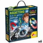Παιχνίδι Επιστήμης Lisciani Magnetismo ES (x6)