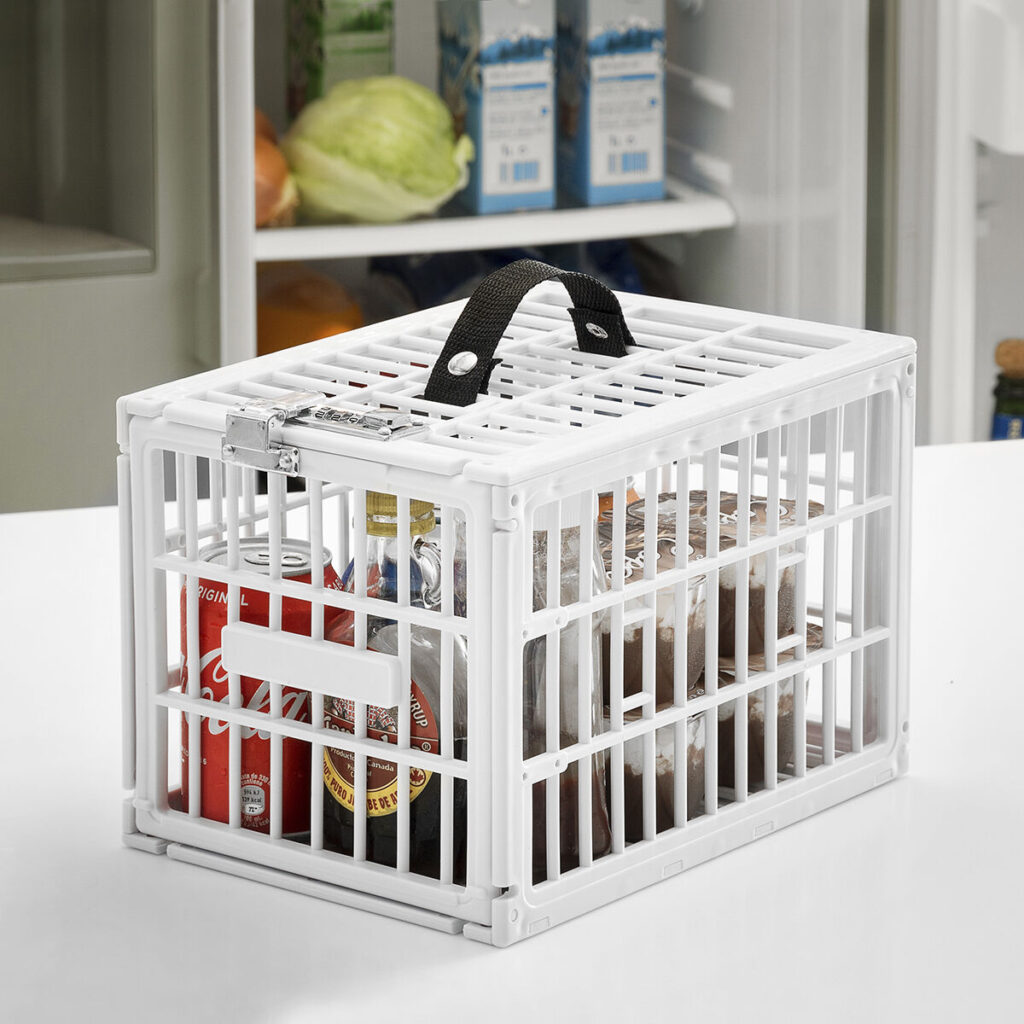 Κλουβί Ασφαλείας για το Ψυγείο Food Safe InnovaGoods