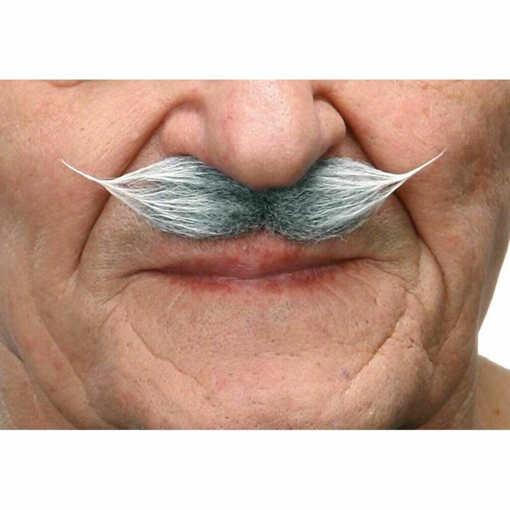 Μουστάκι My Other Me Γκρι Λευκό