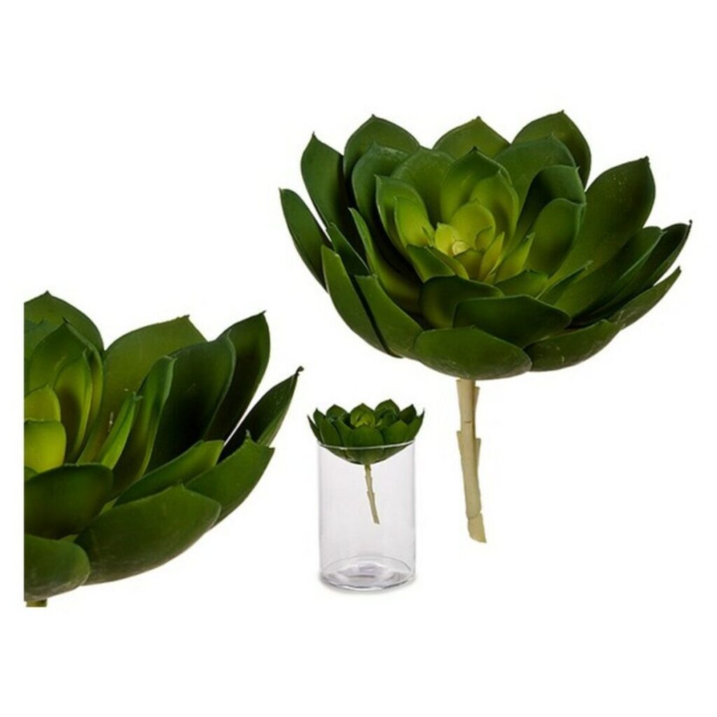 Διακοσμητικό Φυτό Πράσινο Πλαστική ύλη