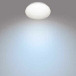 Φωτιστικό Οροφής Philips Plafón Λευκό Μέταλλο/Πλαστική ύλη 2100 W 10 W (4000 K)