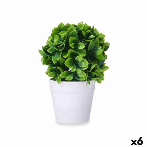 Διακοσμητικό Φυτό Πλαστική ύλη (x6)
