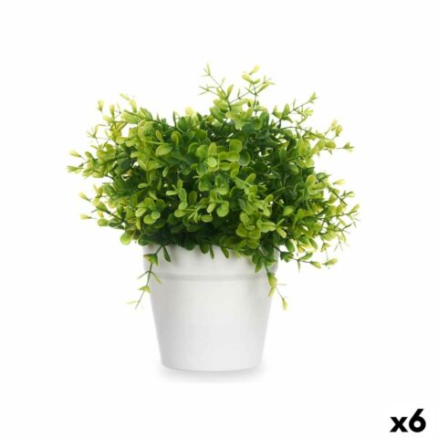 Διακοσμητικό Φυτό Πλαστική ύλη Μικρή (x6)