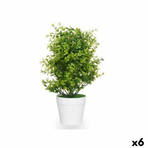 Διακοσμητικό Φυτό Πλαστική ύλη Μεγάλο (x6)