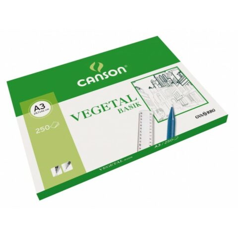 Χαρτί Μεταφραμμένο Canson Basik 250 Φύλλα 90 g/m² 29
