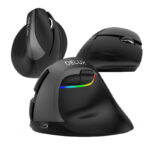 Wireless Vertical Mouse Delux M618Mini BT+2.4G RGB 4000DPI (Iron Gray)