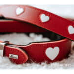 Κολλάρο Σκύλου Hunter Love XS/S 30-34 cm Rojo/Blanco