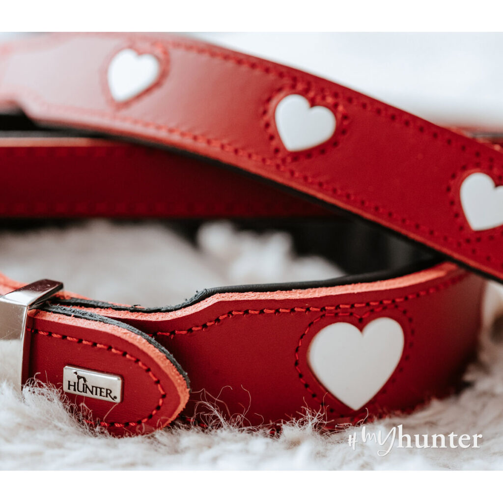 Κολλάρο Σκύλου Hunter Love S/M 35-43 cm Κόκκινο
