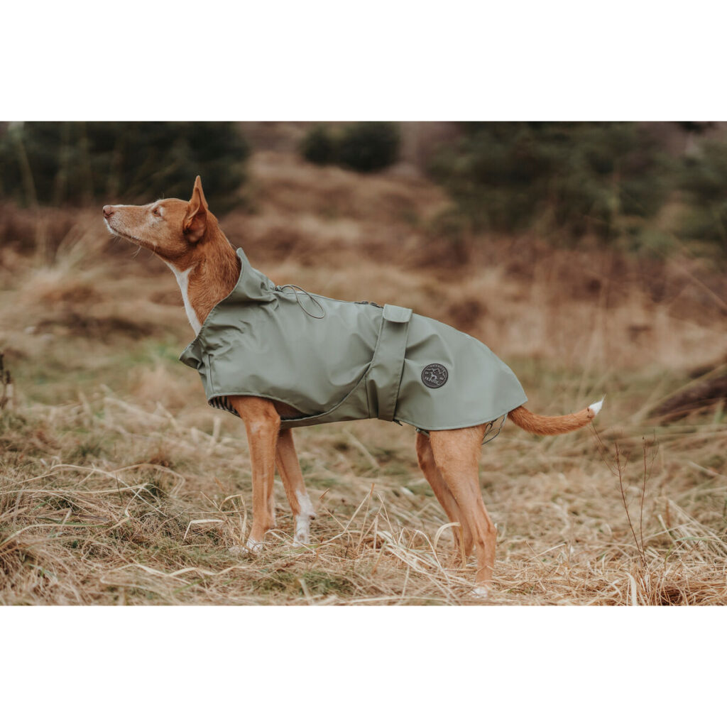 Παλτό Σκύλου Hunter Milford Πράσινο 45 cm