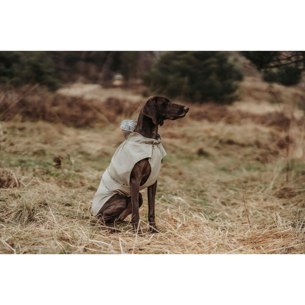 Παλτό Σκύλου Hunter Milford Μπεζ 40 cm
