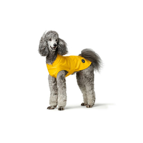 Παλτό Σκύλου Hunter Milford Κίτρινο 40 cm