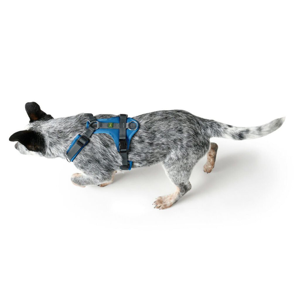 Λουρί Σκύλου Hunter Maldon Up Μπλε 50-84 cm