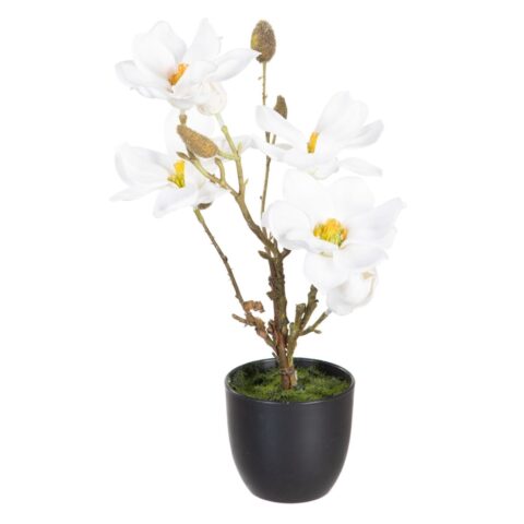Διακοσμητικό Φυτό πολυεστέρας πολυαιθυλένιο Σίδερο 22 x 22 x 38 cm Magnolia