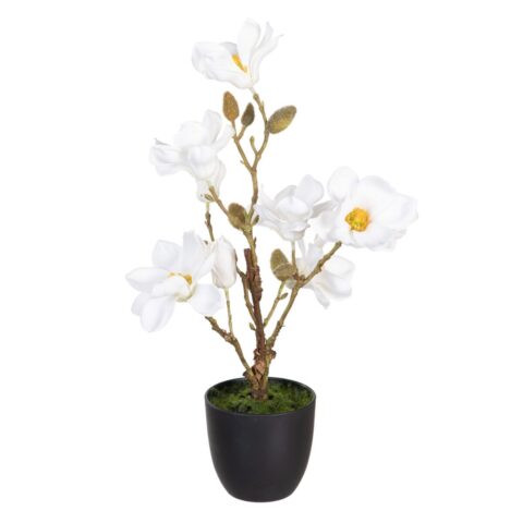 Διακοσμητικό Φυτό πολυεστέρας πολυαιθυλένιο Σίδερο 25 x 25 x 49 cm Magnolia