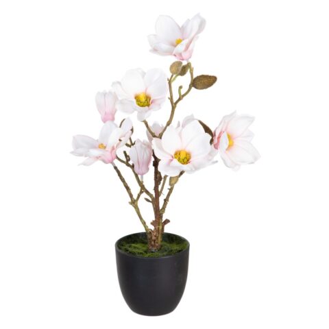 Διακοσμητικό Φυτό πολυεστέρας πολυαιθυλένιο Σίδερο 25 x 25 x 49 cm Magnolia